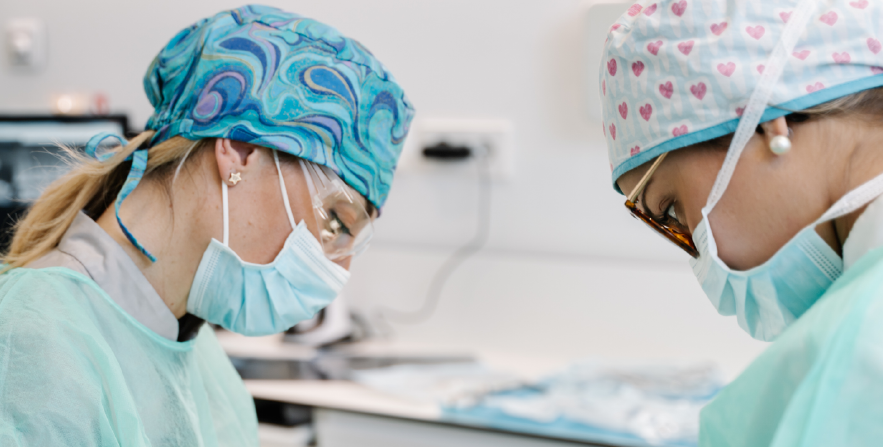 life insurance plans for dental students